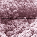 Trentemøller Into The Great Wide Yonder