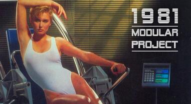 Modular Project 1981 Sisters & Brothers Vol. 06