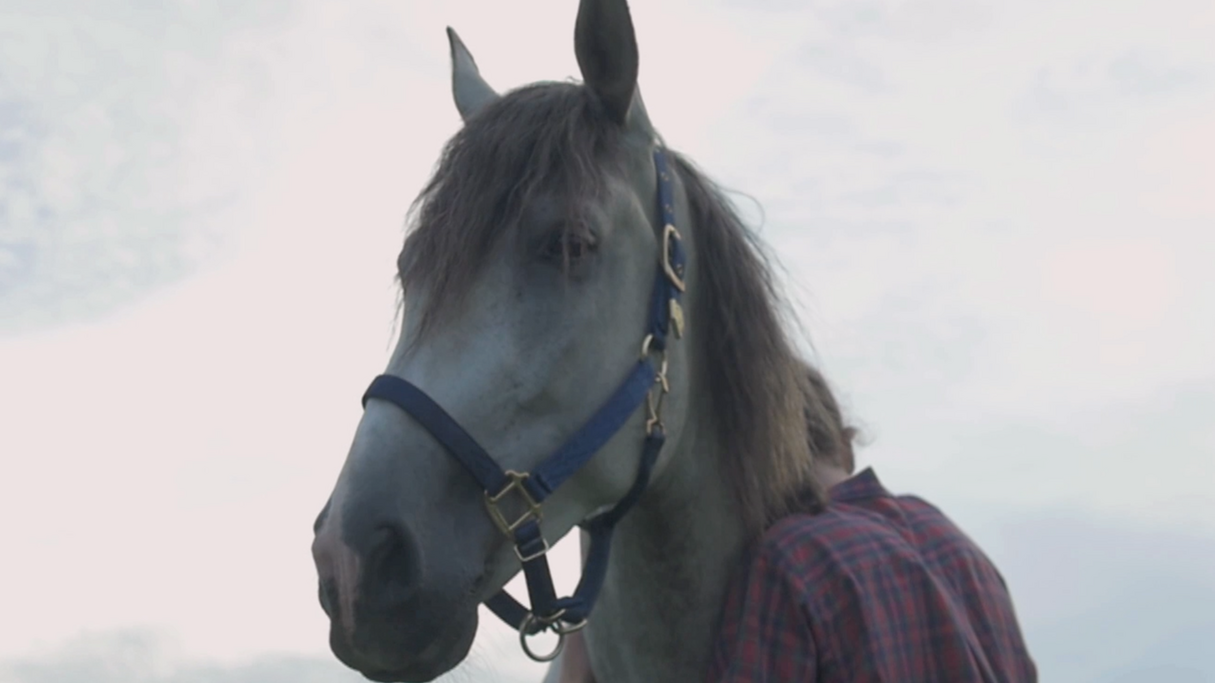 Holtoug Music Video Premiere via Clash